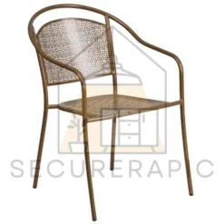 Opulent Metal Chair in Washington